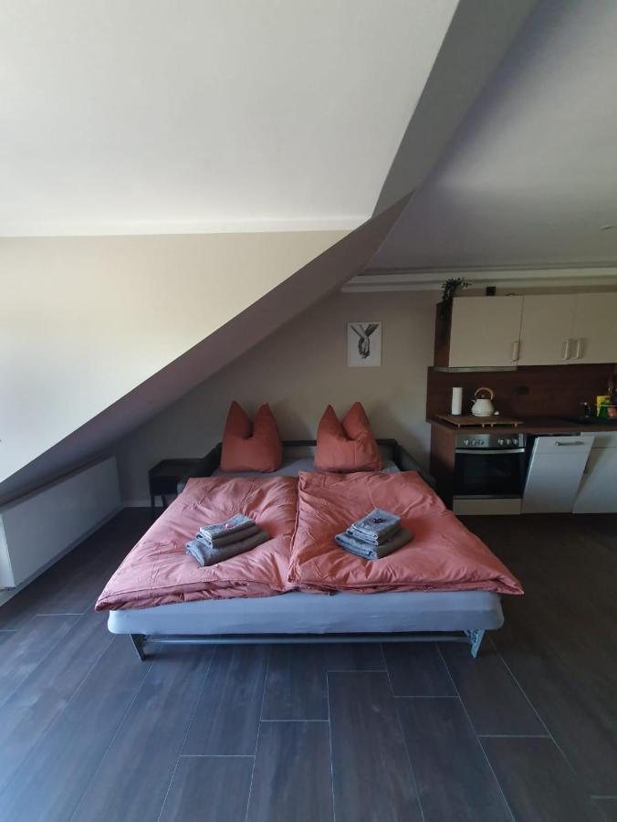 Neumuehler Hof- Ferienwohnung "Benjamin" Mit Grosser Privater Dachterasse Und Guter Anbindung In Die City Schwerin  Eksteriør billede