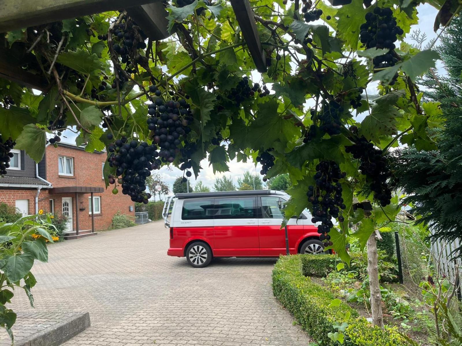 Neumuehler Hof- Ferienwohnung "Benjamin" Mit Grosser Privater Dachterasse Und Guter Anbindung In Die City Schwerin  Eksteriør billede